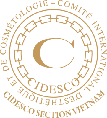 Logo cidesco section vietnam